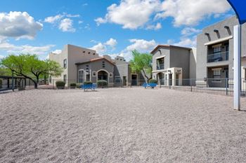 Dog park